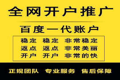 SEM运营推广策略：成功案例解析
